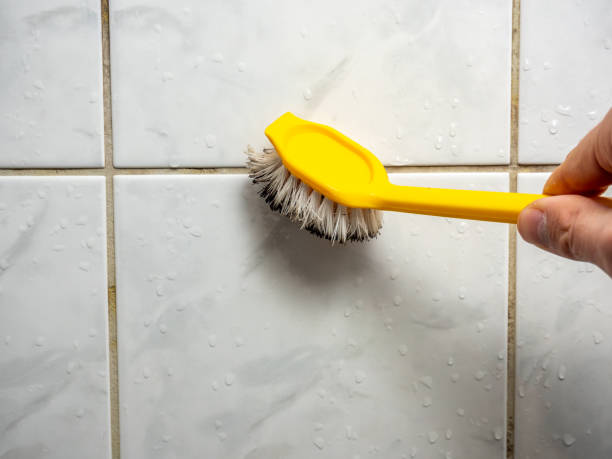 Best Mold Cleaning Services  in Green Valley, MD